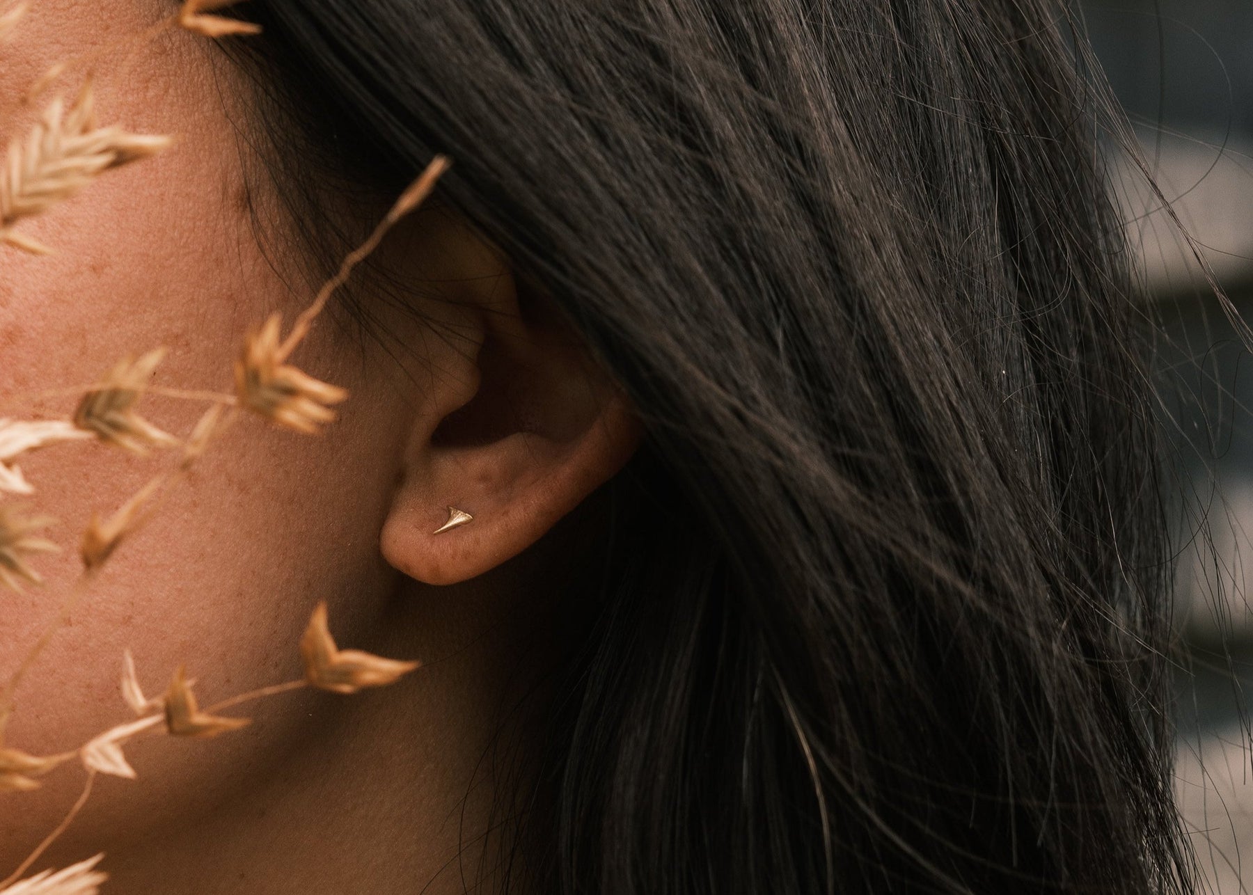 Thicket blackberry thorn studs